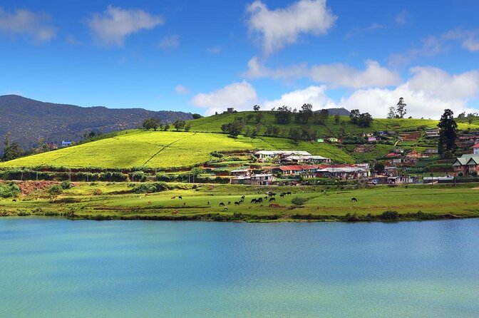 Day Trip to Nuwara eliya from Kandy - Key highlights at a glance