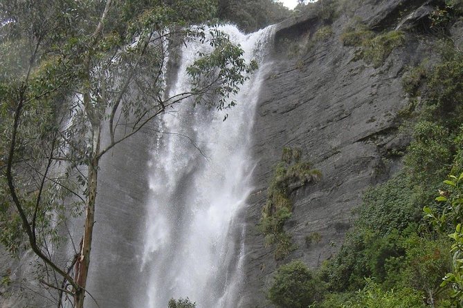 Day Trip to Nuwara eliya from Kandy - Food stop at Hela Bojun Hala: keep it local without overthinking lunch