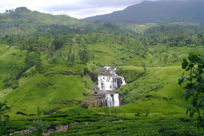 Day Trip to Nuwara Eliya with Kingfisher Tours - NGM Strawberry Farm: sweet stop with a rural-food focus
