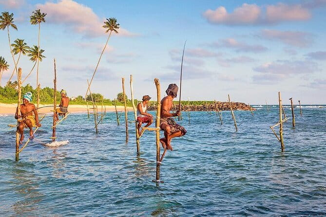 Day trips to Galle from colombo Visiting Its Highlights - Key things to know before you go