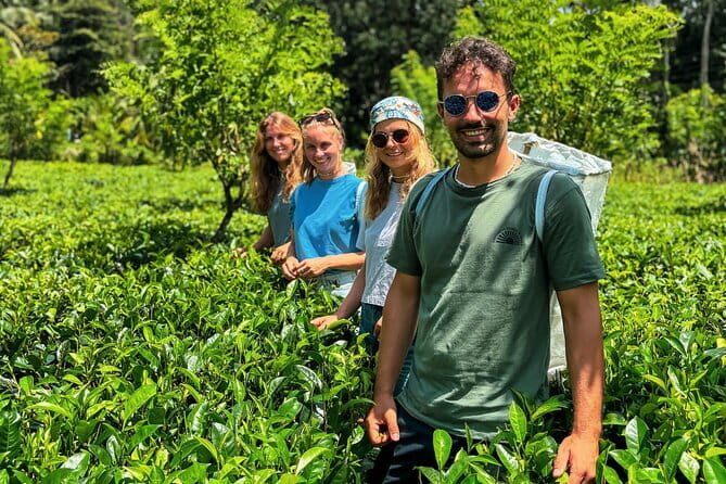 Dediyagala Village Tour(from Galle, Mirissa, Ahangama, Matara) - Key things to know before you go