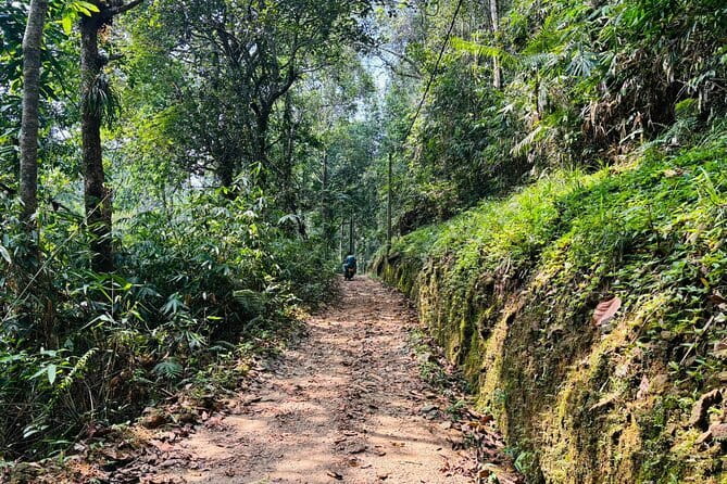 Dediyagala Village Tour(from Galle, Mirissa, Ahangama, Matara) - Setting Off From Akuressa, and What the Small Group Means
