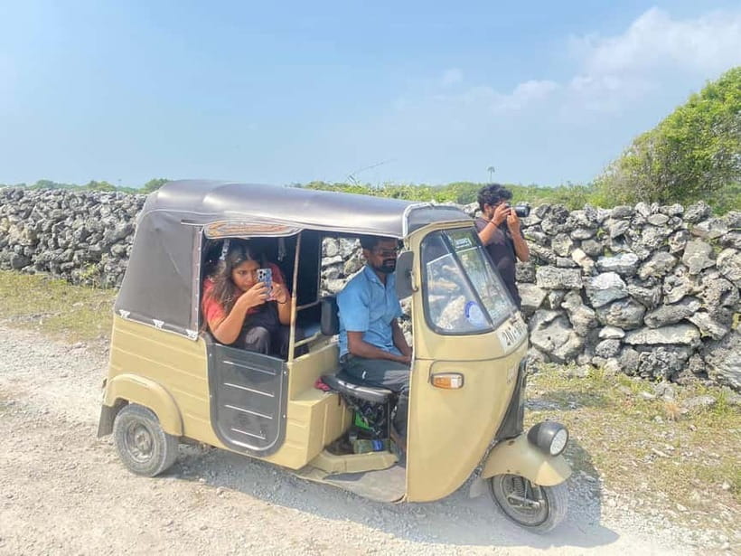 Delft and Nainativu Island Tour with Local Guide ( Jaffna ) - Delft Island Dutch traces, coral walls, and wild horses