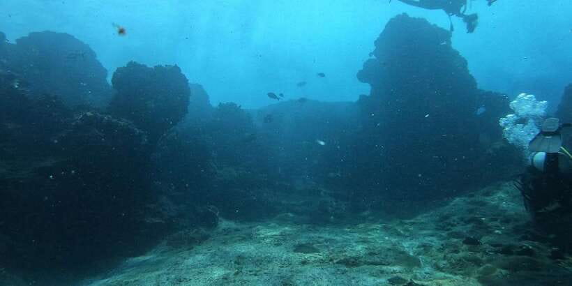 Discover Scuba Diving : Hikkaduwa : Scuba Diving - First Scuba Training in Hikkaduwa: Why This 3-Hour Plan Works