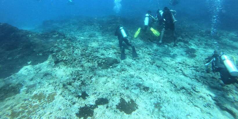 Discover Scuba Diving : Hikkaduwa : Scuba Diving - Meeting at Coral Sands Hotel in Hikkaduwa (And Staying Organized)