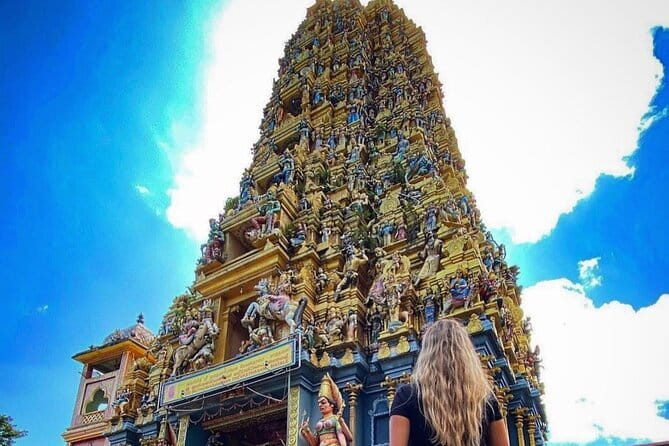 Discover Sigiriya Dambulla and Minneriya Park in Day Tour - How the 8:00 am schedule feels in real life