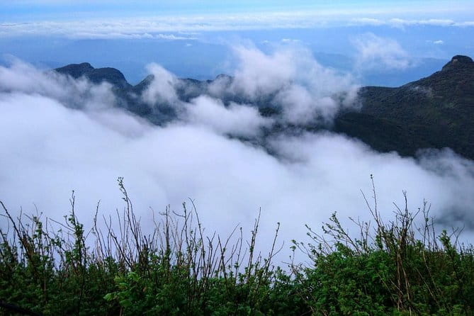 Discover Sri Lanka with Tailored Tours for Timeless Memories - Timing, weather, and how to set realistic expectations for a 7-day pace
