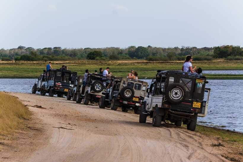 Elephant Jeep Safari at Minneriya National Park - Who should book this safari, and who should skip it