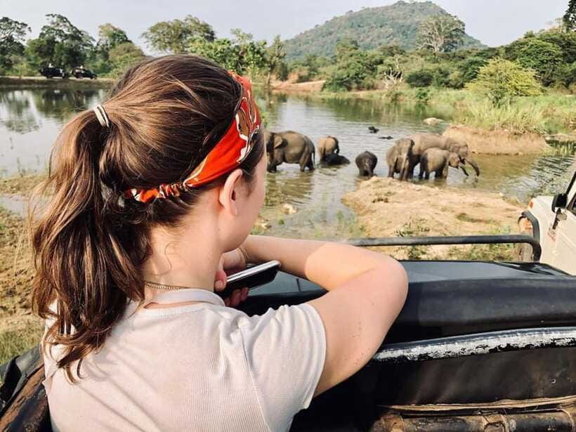 Elephant Kingdom Safari – Minneriya National Park - FAQ