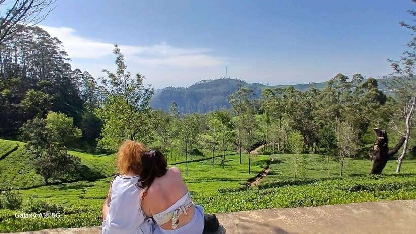 Ella: 9 Arches Bridge, Little Adam's Peak, Tea Factory - Uva Halpewatte Tea Factory tour and tastings you can actually use