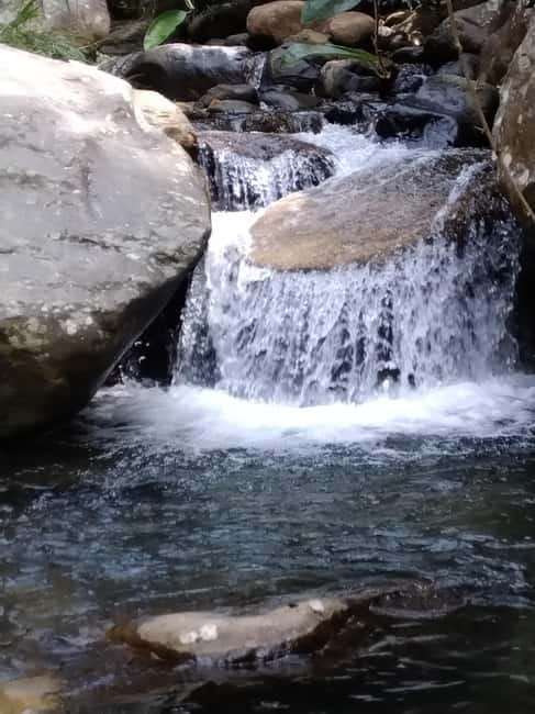 Ella: Cinnamon, Spice Garden & Waterfall tour - From Ella bus station to a working village, fast and bumpy