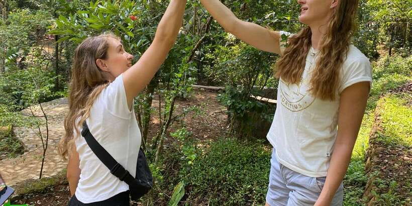Ella : Cooking class with amazing Spice Garden Tour - Ella nine arch spice garden: 2.5 acres of spices, fruit, and medicinal plants