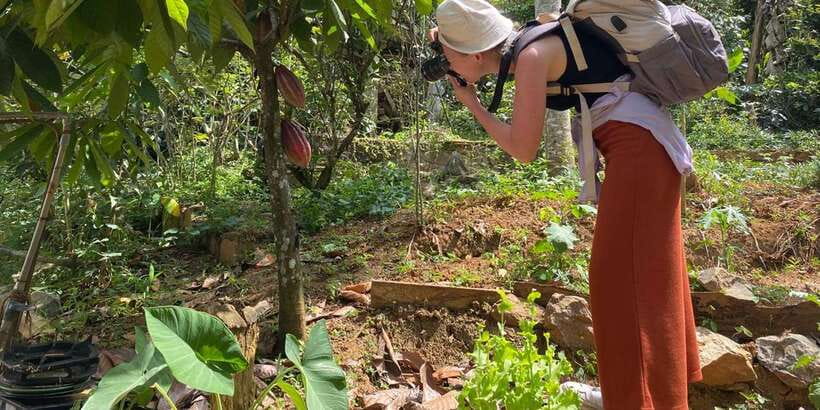 Ella : Cooking class with amazing Spice Garden Tour - Who should book this Ella spice garden and cooking class