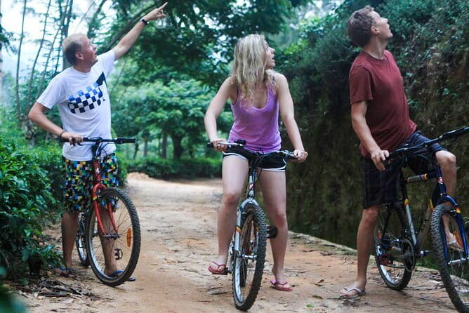 Ella Cycling Experience in Ella - Ballaketuwa to Nine Arches: woods, rail history, and classic views