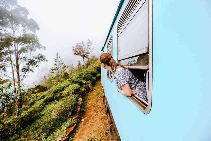 Ella Day Tour: with Tea Factory Visit from Colombo/Bentota - From the coast to the Central Highlands, fast