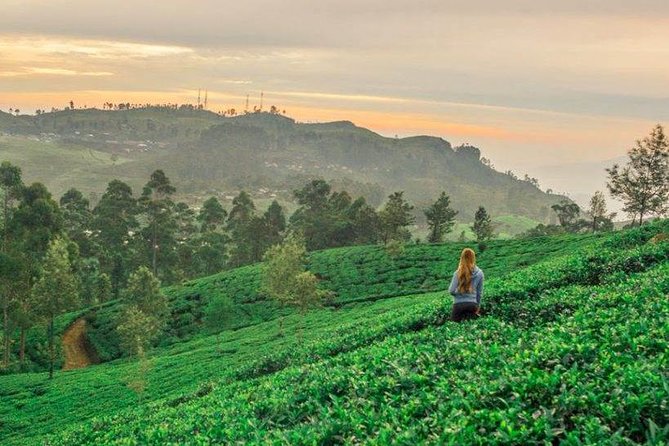 Ella Day Trip from Mirissa, Weligama, Galle, Hikkaduwa - Little Adam’s Peak: short walk, big payoff at sunrise or sunset