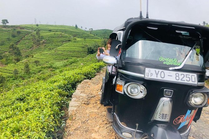 Ella Day Trip from Mirissa, Weligama, Galle, Hikkaduwa - The driver-guide experience: attentive driving, flexible pace, and what to ask for