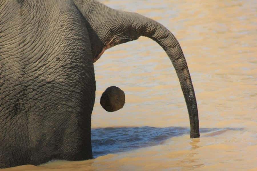 Ella: Drop to Tangalle/Hiriketiya/Mirissa/Galle & Yala Tour - Patanangala Break: A Short Reset That Helps on Long Days
