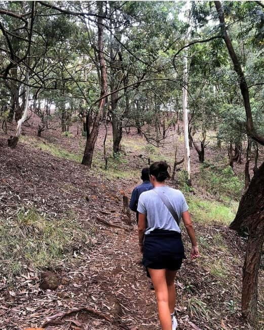 Ella: Ella Rock, 9 Arch, Little Adams Peak, & Waterfall Tour - The Demodara to Ella Train Ride: Normal Versus Calypso