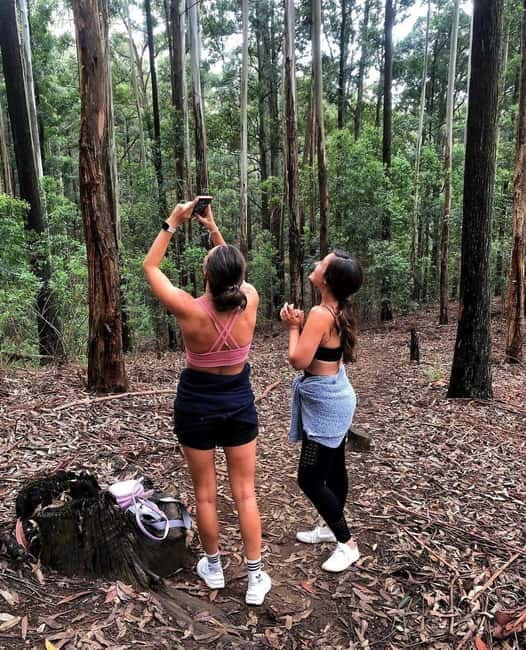 Ella: Ella Rock, 9 Arch, Little Adams Peak, & Waterfall Tour - Pickup in Ella or Bandarawela, and How the Day Actually Moves