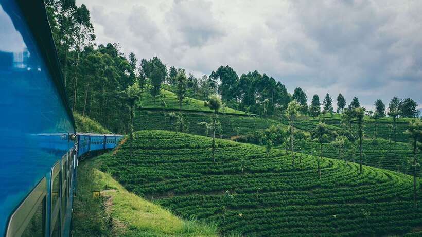 Ella: First Class Scenic Train Ticket To/From Nanuoya - Inside First Class: Air Conditioning, Seating, and Better Ways to Watch