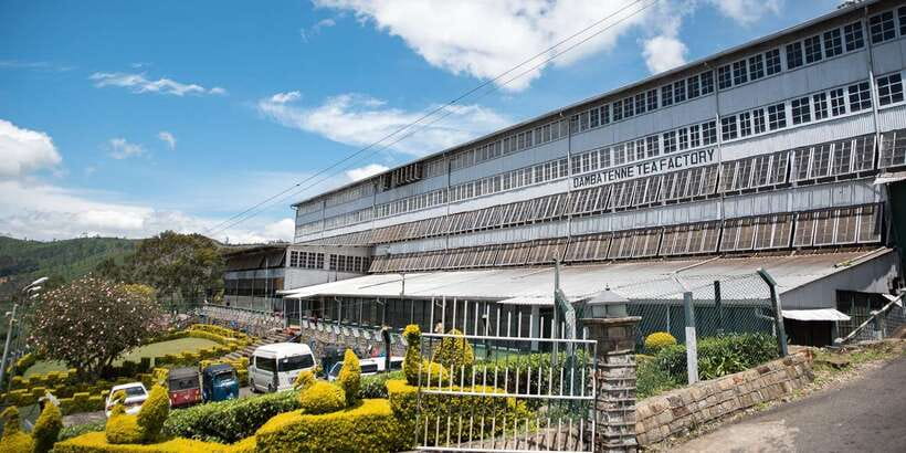 Ella: Lipton's Seat Tour with Dambetanna Tea Factory Visit - Dambetanna Tea Factory: built in 1890, explained like you’ll remember it