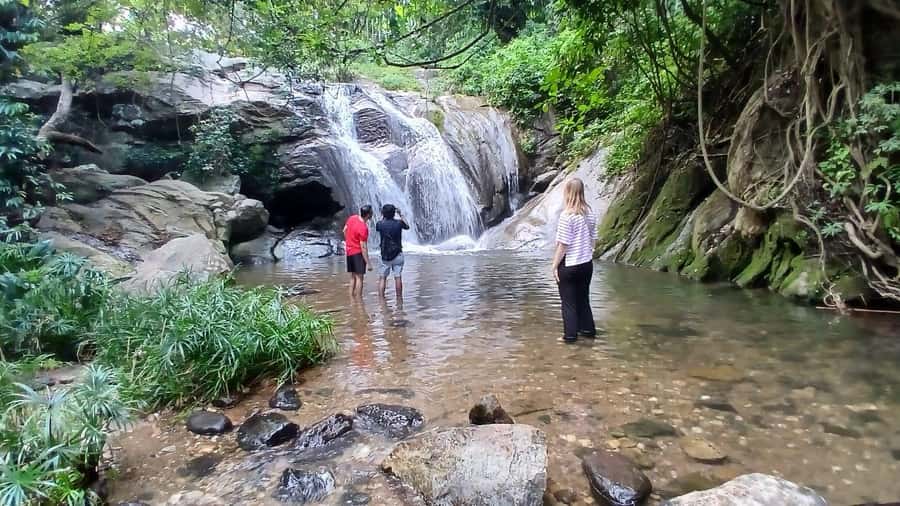 ELLA Lipton Seat Tea Test & Pluck 9Arch, Waterfalls, & Lunch - Diyaluma Option: When You Want More Waterfall Time