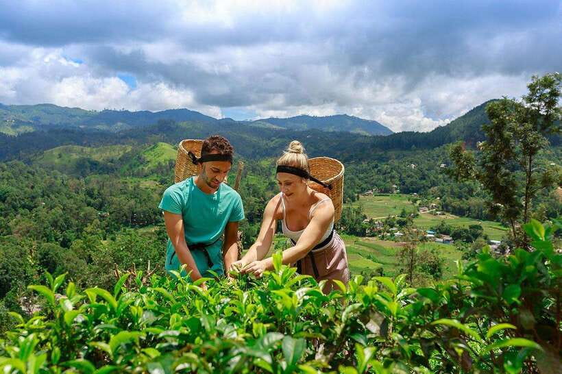 Ella: Little Adam's Peak, 9 Arch Bridge, Ravana Falls Tour - Tuk-Tuk Ride, Timing, and What You’re Really Paying For