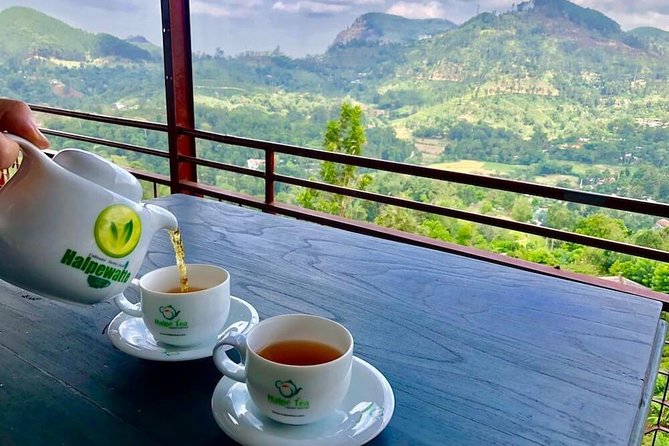 Ella Private Day Tour From Kandy - Kandy To Ella In One Long Day, What You Can Expect