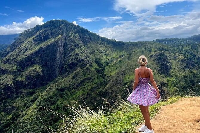 Ella Private Day Tour with Train Ride and Visit to Nine Arch - Ella Organic Tea Garden: what you should expect from a 30-minute tea stop