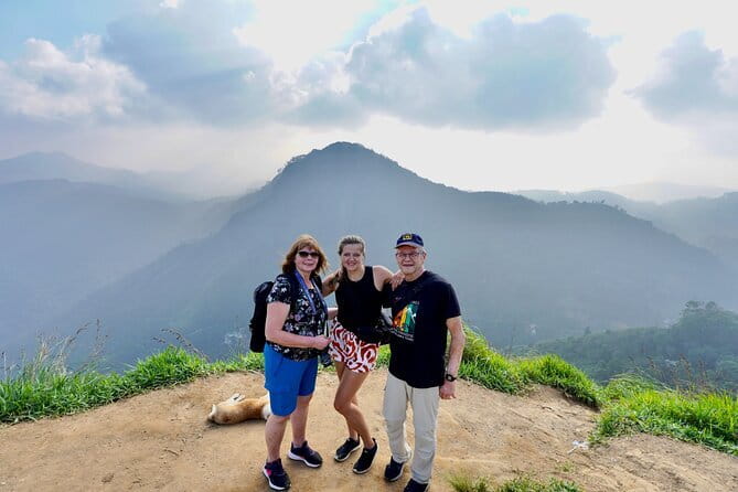 Ella Private Day Tour with Train Ride and Visit to Nine Arch - Rawana Falls: a 30-minute break with real waterfall impact