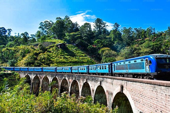 Ella Private Day Trip with Train Ride & Tea Factory-All Inclusive - Price and logistics: what $190 per person really covers