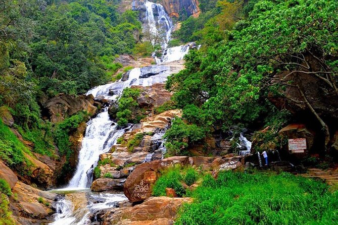 Ella Private Day Trip with Train Ride & Tea Factory-All Inclusive - Who this tour suits best