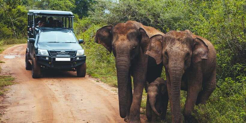 Ella: Shuttle to Mirissa/Galle/Hikkaduwa & Udawalawa Safari - My booking checklist for a smoother day