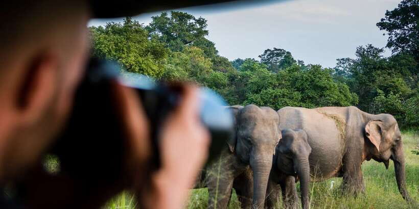 Ella: Shuttle to Mirissa/Galle/Hikkaduwa & Udawalawa Safari - Open jeep viewing: why the vehicle switch matters