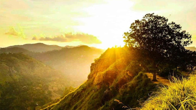 Ella: Sunset Tuk Tuk Tour with Little Adam's Peak Hike - Getting Started: Pickup in Ella and Your Local Guide