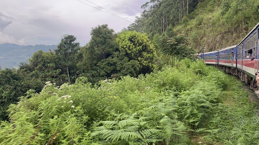 Ella: Tea Factory, Train, and Nine Arch Day Tour with Pickup - Ravana Waterfall: The Power Part of the Day