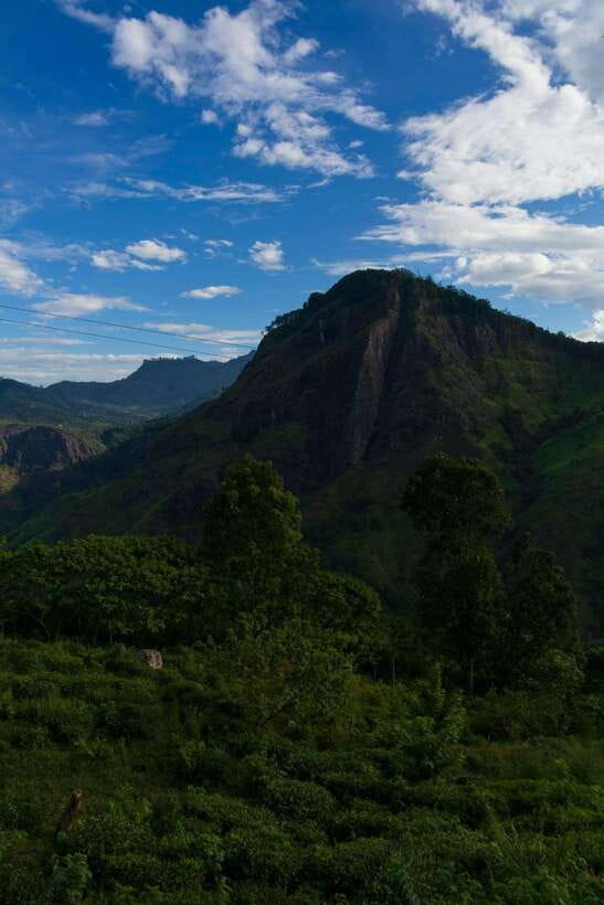 Ella: The Pekoe Trail Stage 16 - Ella to Demodara - Why Pekoe Trail Stage 16 Is Worth Your Half Day