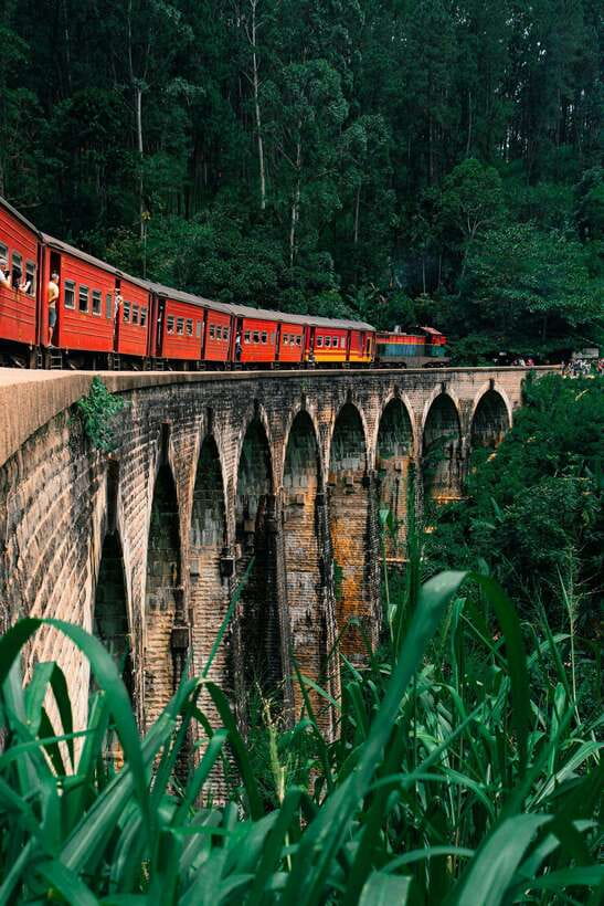 Ella: The Pekoe Trail Stage 16 - Ella to Demodara - Demodara Railway Loop: The Train Trick You Won’t Get From a Postcard