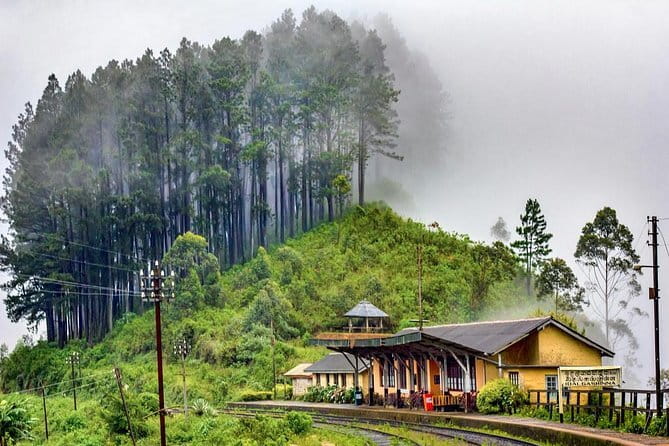 Ella to Colombo Train Tickets (Reserved Seats) - The 9-Hour Ride Experience: How to Get the Most Out of It