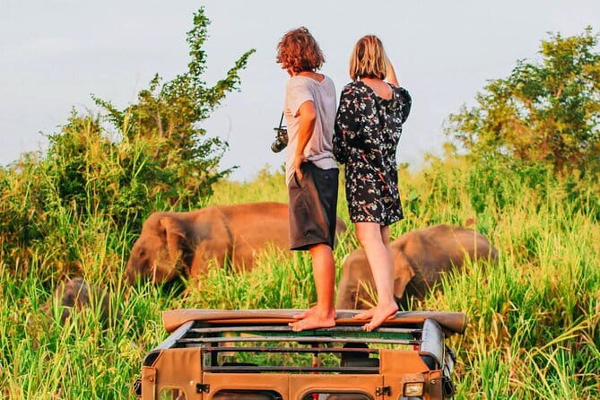 Ella to Mirissa Shuttle & Udawalawe Safari Drive with Breakfast - Key things to know before you go