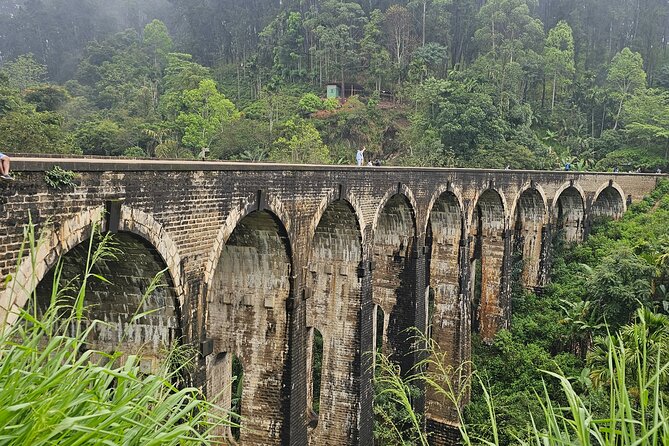 Ella Train Trip & Udawalawa Private Day Tour Bentota/Kosgoda - Why this tour works when you have just one long day