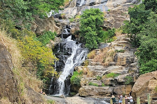 Ella Train Trip & Udawalawa Private Day Tour Bentota/Kosgoda - Upcountry rail time: Badulla, tea-country views, and reserved seats