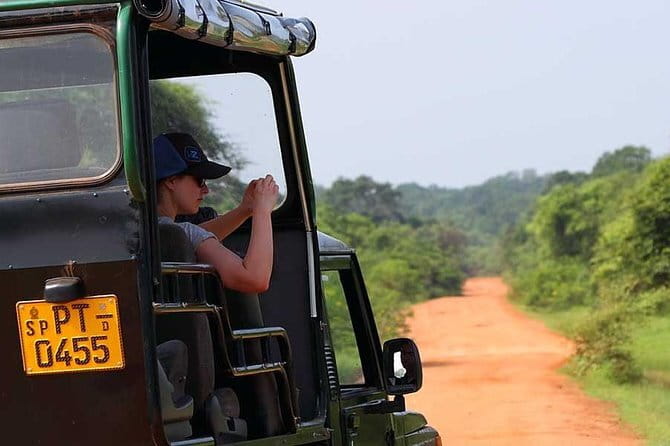Ella: Transfer to Tangalle/Mirissa/Galle & Yala/Udawalawe Safari - Pickup and south-coast drop-off: the value is in the handoff