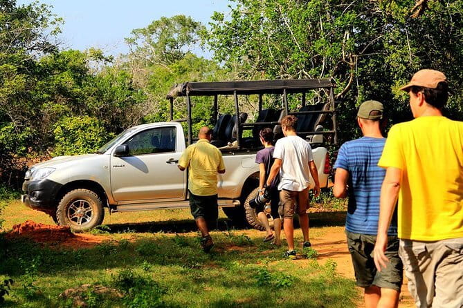 Ella: Transfer to Tangalle/Mirissa/Galle & Yala/Udawalawe Safari - Yala National Park: where spotting can be fast and dramatic