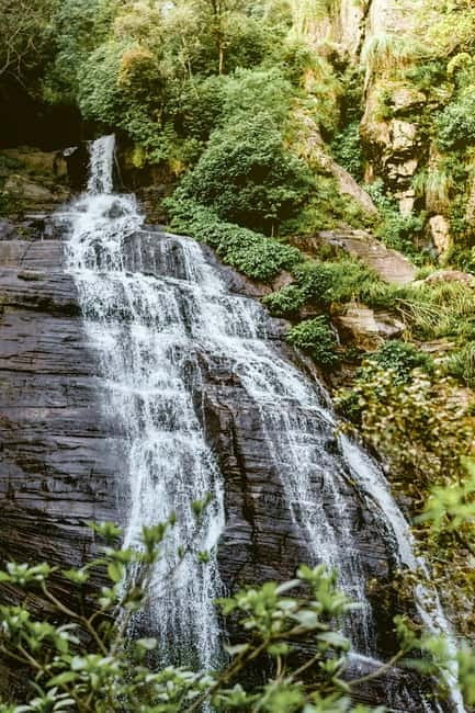 Ella: Waterfall hunting Hike to Bambarakanda and Lanka Falls - Bambarakanda Falls: Sri Lanka’s Tallest Waterfall, Earned by Walking