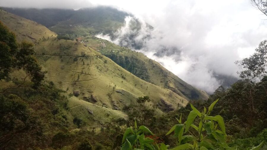 Ella: Waterfall hunting Hike to Bambarakanda and Lanka Falls - Price and Value: What You’re Really Paying For