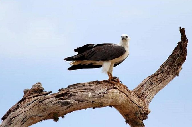 Evening Private Tour Safari at Yala National Park - Inside the 4 to 5 hour flow: what the time usually feels like