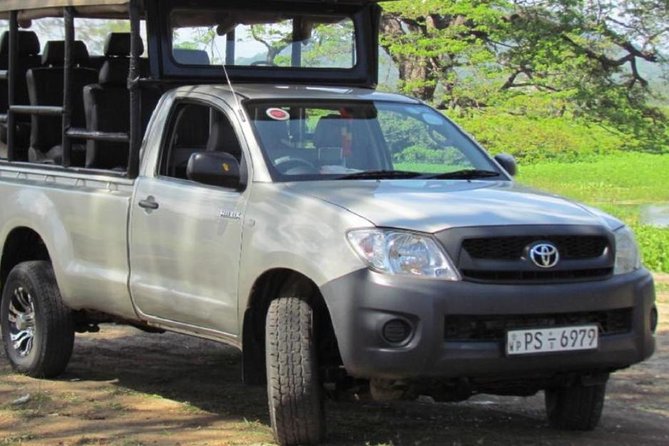 Evening Private Tour Safari at Yala National Park - Your leopard game plan: what your guide and driver look for