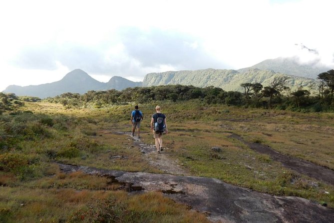 Exclusive knuckles Camping Tour from kandy - Getting From Kandy To The Knuckles Range